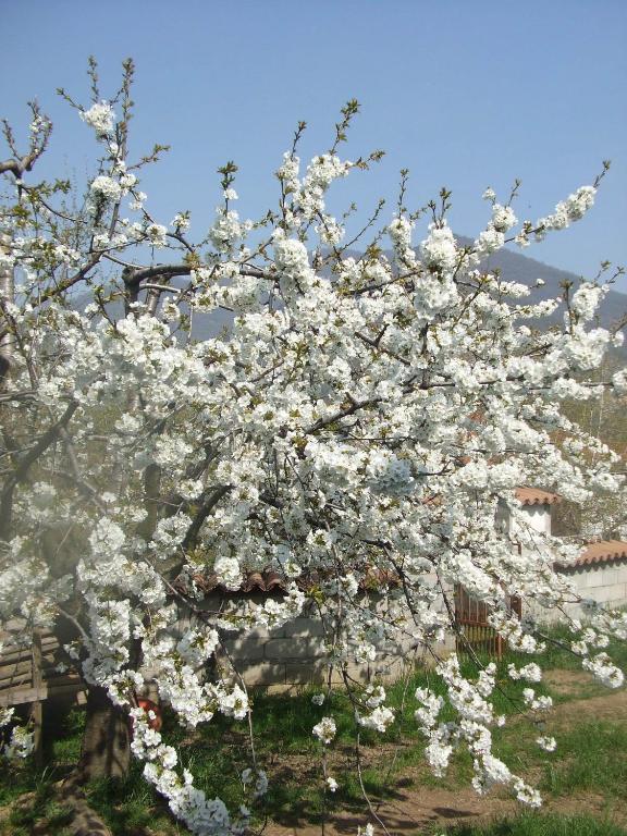 Agriturismo Cascina Rossano Provaglio d'Iseo Exteriér fotografie