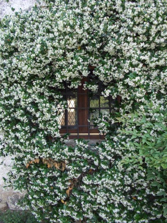Agriturismo Cascina Rossano Provaglio d'Iseo Exteriér fotografie