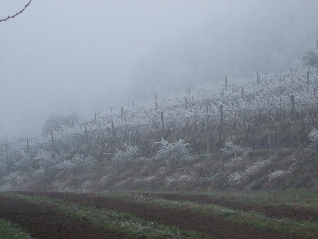 Agriturismo Cascina Rossano Provaglio d'Iseo Exteriér fotografie